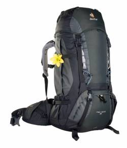 Deuter Trek 50+10 SL Rucksack Women (4700 granite/black) von Deuter