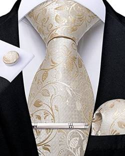 DiBanGu Champagner Paisley Krawatte für Herren formellen Seiden-krawatte und Einstecktuch Manschettenknöpfe Hochzeit Party Krawattenklammer Set von DiBanGu