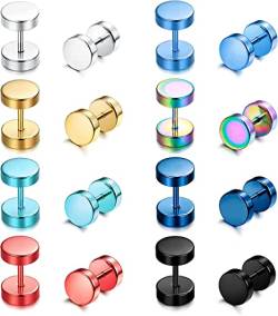 Diamday 8Paare Ohrstecker Edelstahl Für Herren Damen Fake Plugs Ohr Piercing Ohrringe Runde Tunnel Schraube Barbell Ohrstecker Punk Rock Creolen Ohrschmuck Regenbogen Schraubverschluss Ohrringe 6MM von Diamday