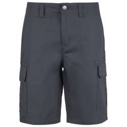 Dickies - Millerville Short - Shorts Gr 30 blau von Dickies