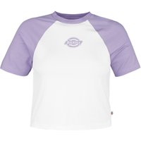 Dickies T-Shirt - Sodaville Tee - XS bis L - für Damen - Größe M - lila/weiß von Dickies