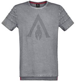 Assassin's Creed Odyssey - Logo T-Shirt grau XXL von Difuzed