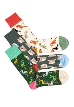 DillySocks Bunte Socken (2er Set) | Farbige Socken für Herren und Damen aus Bio Baumwolle & nachhaltiger Produktion von DillySocks