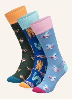 Dillysocks 3er-Pack Socken Pet Trio braun von DillySocks