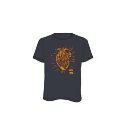 Directalpine Flash Heart T-Shirt Herren grau Größe L 2022 Kurzarmshirt von Directalpine
