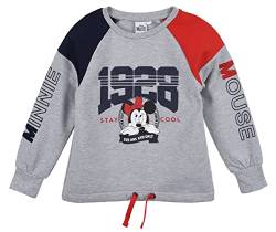 Minnie Mouse Mädchen Sweatshirt (Hellgrau,4 Jahre) von Disney