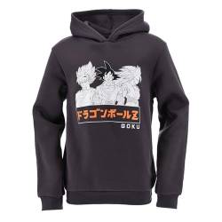 Dragon Ball Z Sweatshirt für Jungen, Super Saiyajin und Goku Design Pullover, Grau Sweatshirt Hoodie, Geschenk für Jugendliche, Größen 8 bis 14 Jahre (DE/NL/SE/PL, Alter, 14 Jahre, Regular, Grau) von Dragon Ball Z