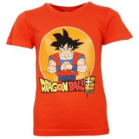 Dragon Ball Print-Shirt Anime Dragonball Super Goku Jungen kurzarm T-Shirt Gr. 116 bis 152, 100% Baumwolle von Dragon Ball