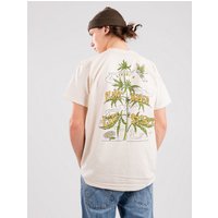 Dravus Plantbased Lifestyle T-Shirt natural von Dravus