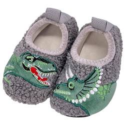 Dream Bridge Kinder Hausschuhe Plüsch Junge mädchen rutschfeste Leichte Pantoffeln für Kleinkinder Kindergarten Hüttenschuhe Slipper Unisex Winter Wärme Grauer Dinosaurier 22.5 EU von Dream Bridge