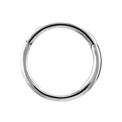 Drops Karisma Titan G23 Hinged Segmentring Charnier/Septum Clicker Helix Ring Piercing Ohrring-6mm von Drops