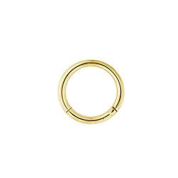Drops Karisma Titan Gold G23 Hinged Segmentring Charnier/Septum Clicker Helix Ring Piercing Ohrring -10mm von Drops