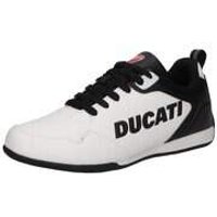 Ducati Sneaker Herren weiß von Ducati