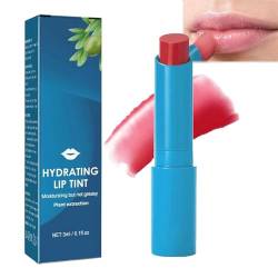 Lippenstift Hydratisiert Lip Stain Tint Makeup Feuchtigkeitsspendend Lipgloss Langanhaltend Lippenbalsam Wasserdicht Geschmeidig Lippenglanzöl für Lippenpflege Damen Mädchen Geschenke (1) von EHOTER