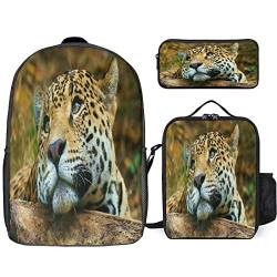 3D Tiger Schulrucksack Schulranzen Schultasche Sports Rucksack Freizeitrucksack Daypacks Backpack für Teenager (tiger1,12.6inx5.5inx17in) von EKOMIS