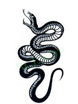 EROSPA® Tattoo-Bogen temporär / Sticker - Schlange / Snake - Wasserfest - 10,5 x 6cm von EROSPA