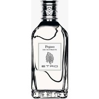 Etro  - Pegaso Eau de Toilette 100 ml | Unisex von ETRO