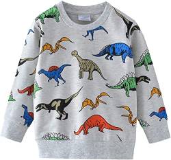 EULLA Jungen Modisches Langarm Sweatshirt, Dinosaurier 1, 6-7 Jahre von EULLA