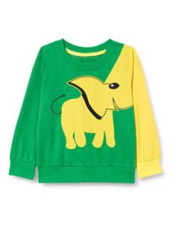 EULLA Jungen Sweatshirt, 2# Grün, 7 Jahre von EULLA