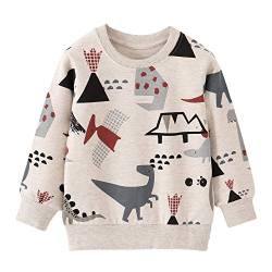 EULLA Kinder Jungen Sweatshirt Pullover Activewear Langarm Baumwolle Dinosaurier Herbst Winter Oberteile 2 Jahre alt 4# Grau Dinosaurier DE 92 von EULLA