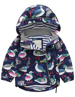 Echinodon Jungen Jacke Winddicht Wasserabweisend Outdoorjacke mit Reflektoren Übergangsjacke Kinder Baby Regenjacke Frühling Herbst von Echinodon