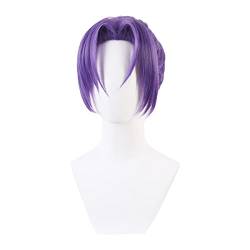 Cosplay Perücke lila einteiliges Haargummi Styling Anime Charakter Persönlichkeit Mode männlich und weiblich Universal Perücke Haarset Modedekoration von EkeNoz