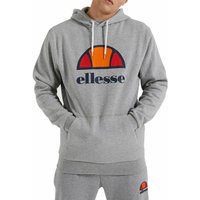 Ellesse Kapuzensweatshirt Dahryl OH Hoody von Ellesse