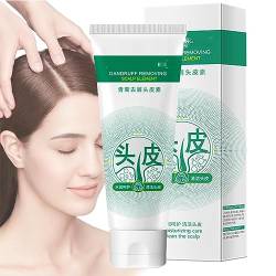 Anti-Dandruff Artemisia Conditioner, Maigoole Artemisia Hair Lotion,Scalp Scrub,Smoothie Texture Dry Scalp Shampoo,Moisturizing Care Clean the Scalp,Japanese Shampoo for Women Men (1pcs) von Endxedio