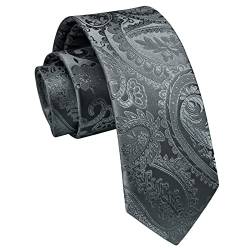 Enlision Paisley Herren Krawatte Silber Schmale Krawatte Seide Krawatten für Formelle Büro oder Hochzeit Business 6cm von Enlision