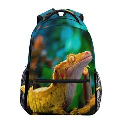 Eslifey Rucksack für Reptilien, Gecko, Eidechse, Studenten, Schultertasche, Reisetasche, College, Schule von Eslifey