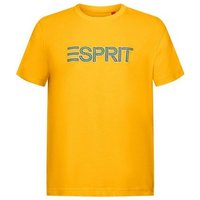 Esprit T-Shirt Logo-T-Shirt (1-tlg) von Esprit