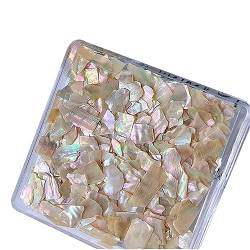 Unregelmäßige Abalone-Schalenscheiben, 6 Farben, natürliche Muscheln, Nagelkunst-Flocken, 3D, bunte Nagel-Maniküre, DIY-Nageldekorationen, Nagelschalenstücke, Maniküre-Werkzeuge, Dekorationen für von Exingk