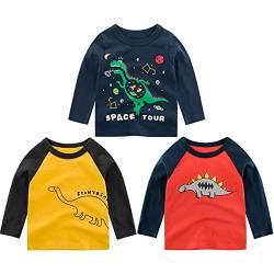 3er Pack Baby Kinder Jungen Rundhals Langarmshirt Baumwolle Shirt Cartoon Dinosaurier Wagen Drucken T-Shirt Tops 90 von FAIRYRAIN