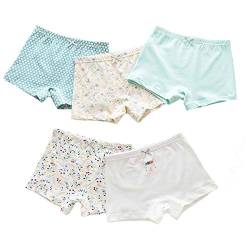 5 Pack Kinder Mädchen Pantys Boxer Unterhose Cartoon PrintPanty Unterwäsche Schlüpfer Boxershorts 7-8 Jahre von FAIRYRAIN