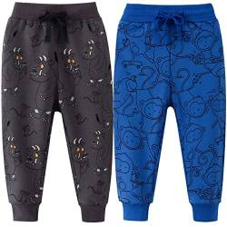 FAIRYRAIN 2er Pack Kinder Junge Sweathose Kids Karikatur Drucken Sporthose Jogger Pants Hose Babyhose Jogginghose 2T von FAIRYRAIN