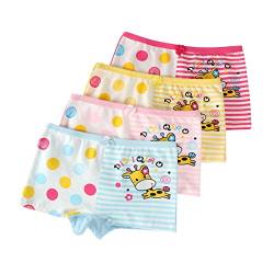 FAIRYRAIN Baby Kleinkind Mädchen Cartoon Pantys Hipster Shorts Spitze Baumwollunterhosen Unterwäsche 4 Packung von FAIRYRAIN