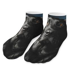 FENAC Schwarzer Labrador Hund Kurzsocken Sportsocken Sneaker Socken Laufsocken Für Herren Damen 5 Paar von FENAC