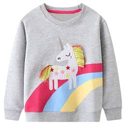 FILOWA Sweatshirt Kinder Baby Mädchen Regenbogen Einhorn Sweatshirt Pullover Sport Grau Langarm Warm Baumwolle Top Sweatshirt 2-3 Jahre,Gr.92-98 von FILOWA