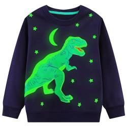 FILOWA Sweatshirt für Jungen Kinder Dinosaurier Pullover Sweater Ohne Kapuze Langarm Leuchtend Sweatshirt Sport Warm Baumwolle Top Pulli 4-5 Jahre,Gr.104-110(Blau) von FILOWA
