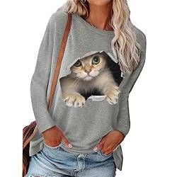 FREEPPCC Damen Cat in The Hole 3D Print Rundhals Langarm Pullover Sweater Sweatshirt, grau, XXX-Large von FREEPPCC
