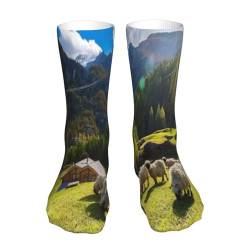 FUkker Crew-Socken, Kompressionssocken, lässige, neuartige Sportsocken, 40 cm lang, für Unisex, Schweizer Alpen, Wallis, Schwarznasenschaf, Nest, Tiere, Natur von FUkker