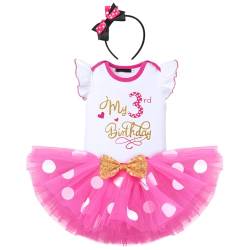 FYMNSI Baby Mädchen Mein 3. Geburtstag Outfit Maus Kostüm Gepunktet Tütü Rock Baumwolle Kurzarm T-shirt Tops mit Ohr Stirnband 3tlg Bekleidungsset Fotoshooting Rose - Mein 3. Geburtstag 3 Jahre von FYMNSI