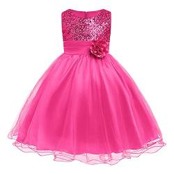 FYMNSI Kinder Mädchen Pailletten Kleid Blumenmädchen Tüllkleid Hochzeit Brautjungfer Tütü Prinzessin Kurzes Partykleid Kleinkinder Geburtstagskleid Ballkleid Ärmellos Sommerkleid Rose 5-6 Jahre von FYMNSI