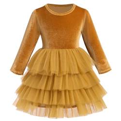 FYMNSI Kinder Samtkleid M?dchen Weihnachtskleid Weihnachten Partykleid Roundhals A-Linie Festliches Festkleid Prinzessin T?t? T?llkleid Freizeit Herbstkleid Winter Hochzeitskleid Gold 3-4 Jahre von FYMNSI