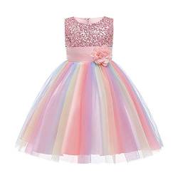 Kinder Mädchen Pailletten Kleid Blumenmädchen Regenbogen Tüllkleid Hochzeit Brautjungfer Tütü Prinzessin Kurzes Partykleid Kleinkinder Geburtstagskleid Ballkleid Ärmellos Sommerkleid Rosa 9-10 Jahre von FYMNSI