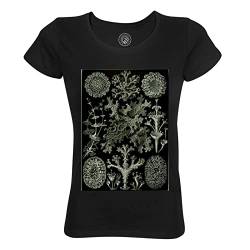 Rundhals-T-Shirt aus Bio-Baumwolle für Damen Flechten Antike Gravur Zeichnung Biologie von Fabulous