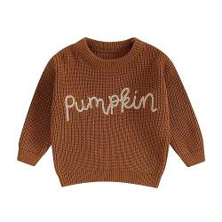 Fabumily Kinder Kleinkind Baby Mädchen Strickpullover Langarm Kürbis Stickerei Pullover Sweatshirt Warme Winterkleidung (Brown, 12-18 Months) von Fabumily