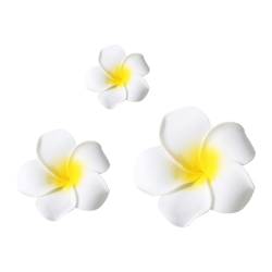 Plumeria Blumen-Haarspange, süße Reise-Haarnadel, Hochzeits-Haarstyling-Werkzeug für dünnes Haar, koreanische Kopfbedeckung, Haarnadel für Urlaub von Fahoujs