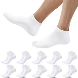 Falechay Sneaker Socken Herren Damen Kurz Socken Weiß Sportsocken 10 Paar Atmungsaktive Halbsocken,Weiß 39-42 von Falechay