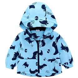 Famuka Baby Junge Dinosaurier Jacke Fleece Reißverschluss Herbst Frühling Kleinkinder Mantel Übergangsjacke Kapuzenjacke (Blau, 24M) von Famuka